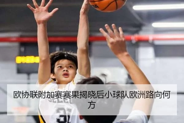 欧协联附加赛赛果揭晓后小球队欧洲路向何方